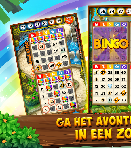 Bingo Clues