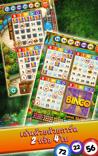 Bingo Clues