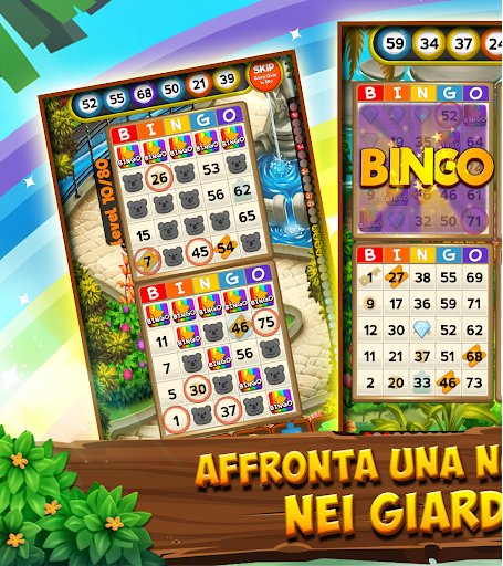 Bingo Clues