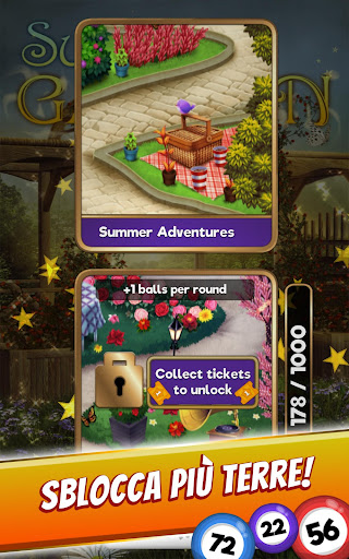 Bingo Clues