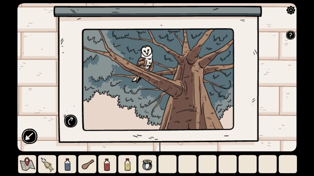 Owl on tree branch 