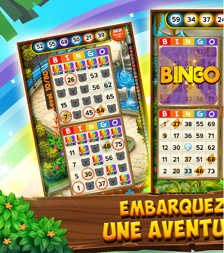 Bingo Clues