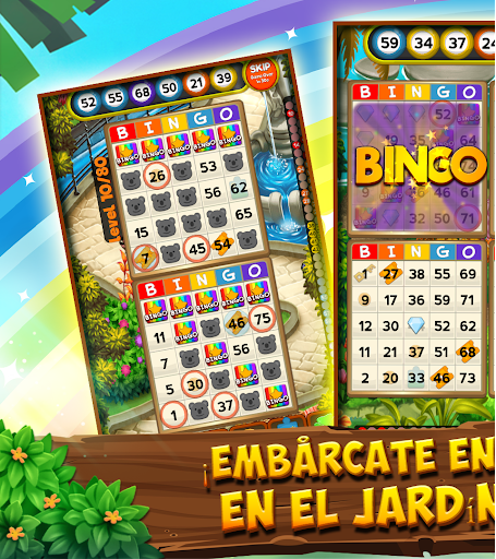 Bingo Clues