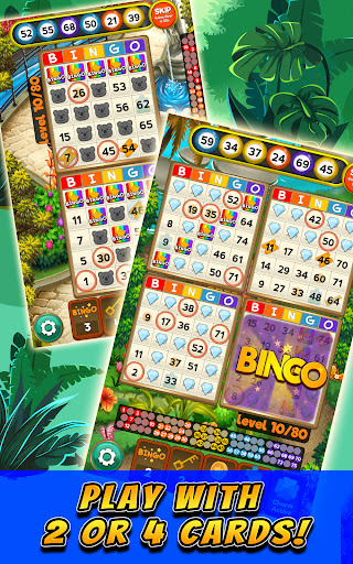 Bingo Clues